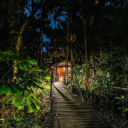 Daintree Wilderness Lodge Eksteriør bilde