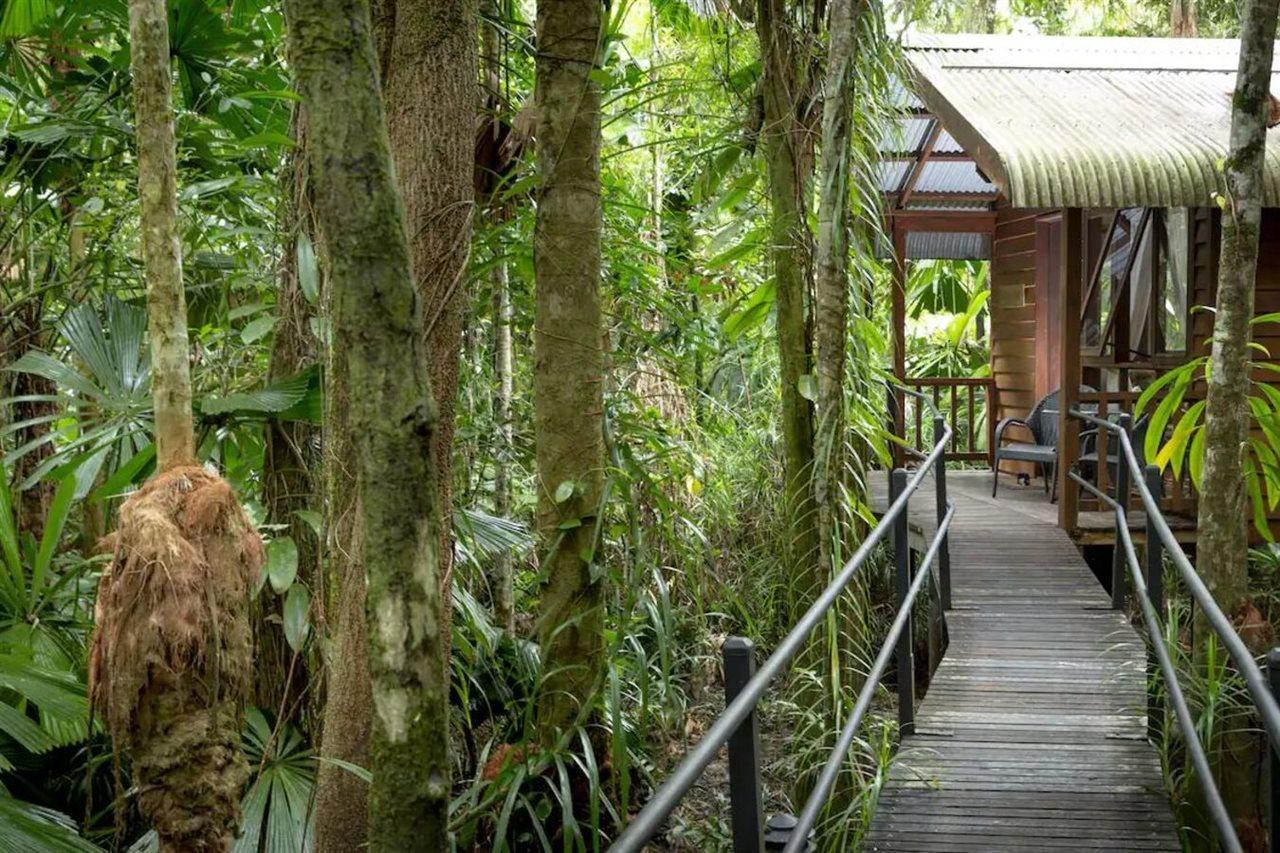 Daintree Wilderness Lodge Eksteriør bilde