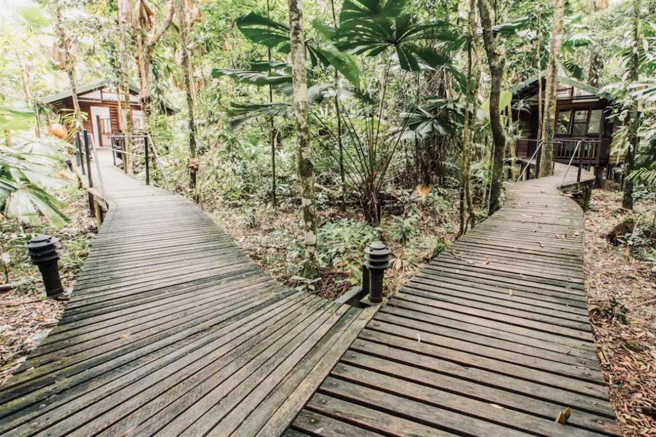 Daintree Wilderness Lodge Eksteriør bilde