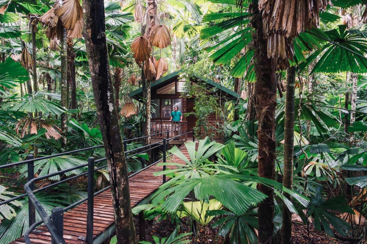 Daintree Wilderness Lodge Eksteriør bilde