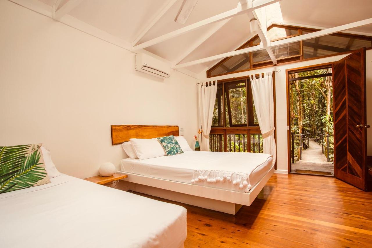 Daintree Wilderness Lodge Eksteriør bilde