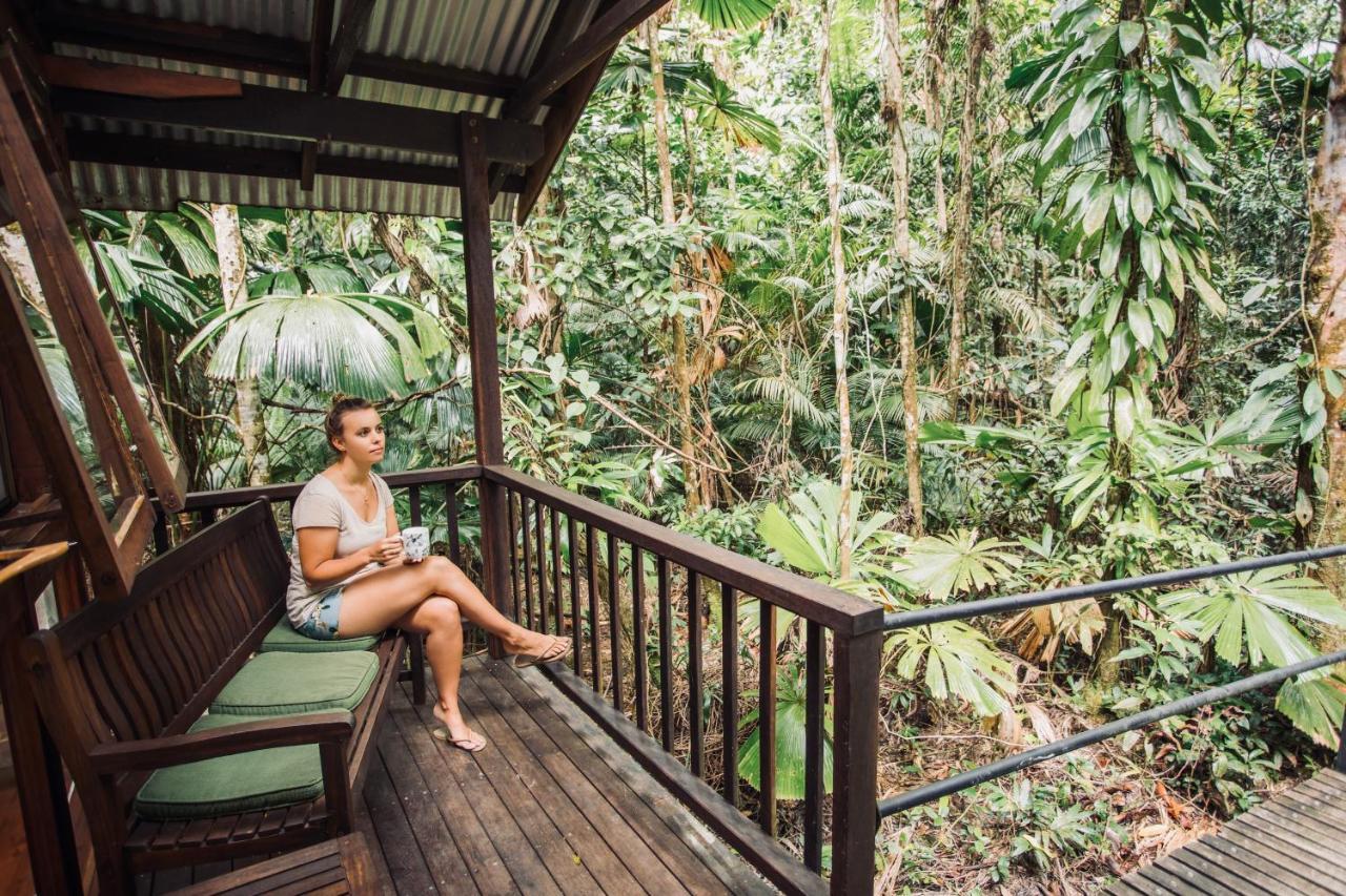 Daintree Wilderness Lodge Eksteriør bilde