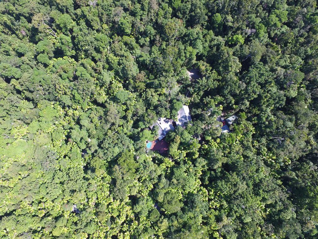 Daintree Wilderness Lodge Eksteriør bilde