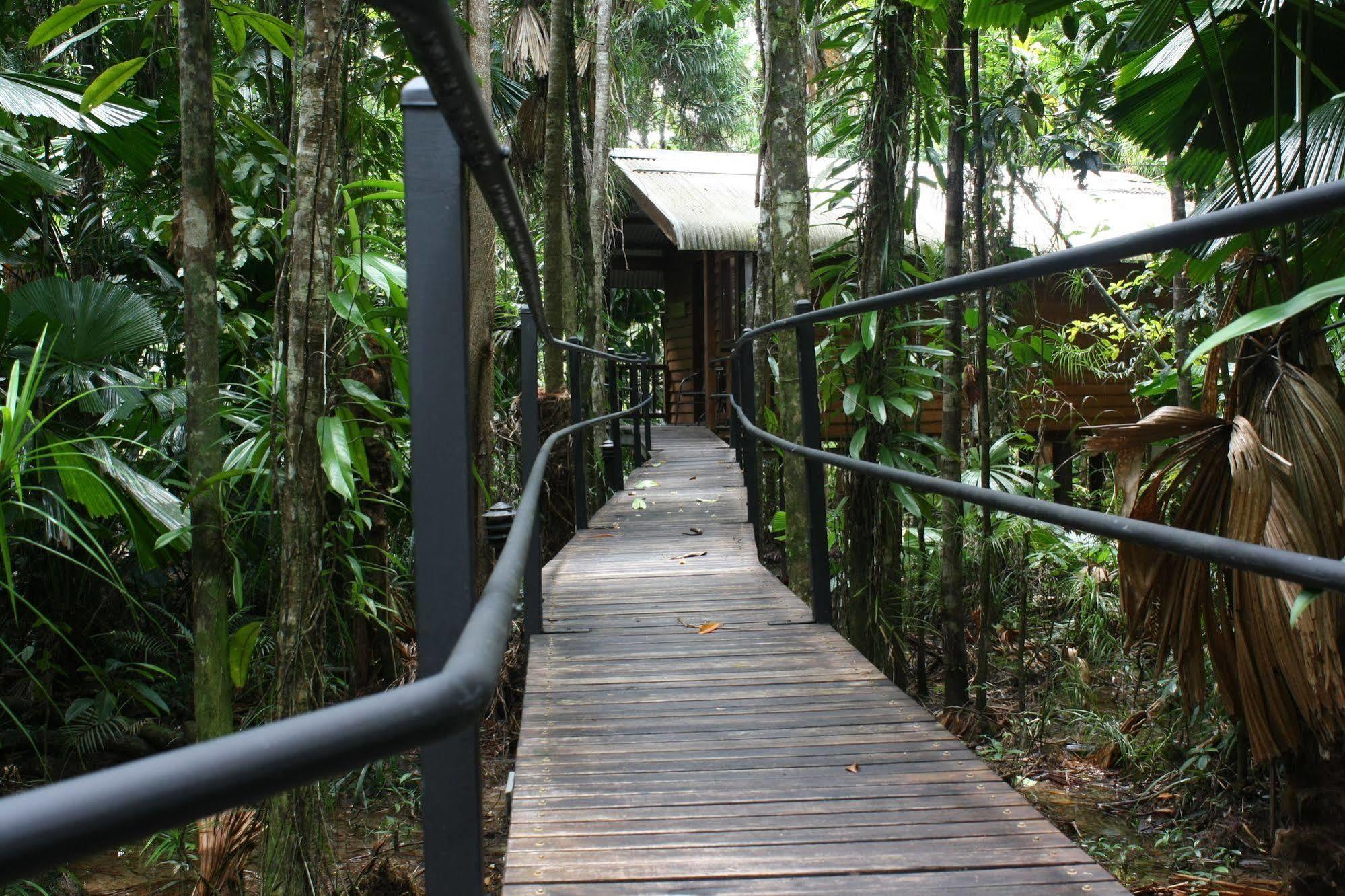 Daintree Wilderness Lodge Eksteriør bilde
