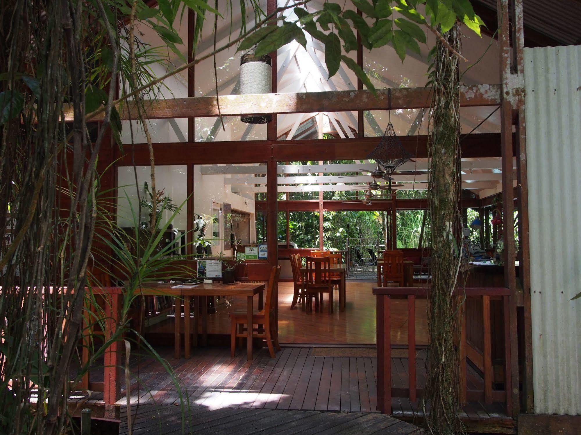 Daintree Wilderness Lodge Eksteriør bilde